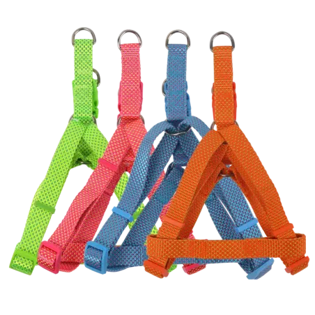 Set am i povodac, prikaz svih komponenti i detalja