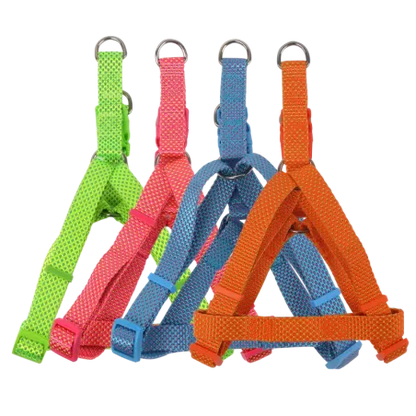 Set am i povodac, prikaz svih komponenti i detalja