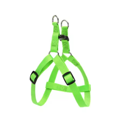 Crveni am za pse sa metalnim prstenovima za povodac