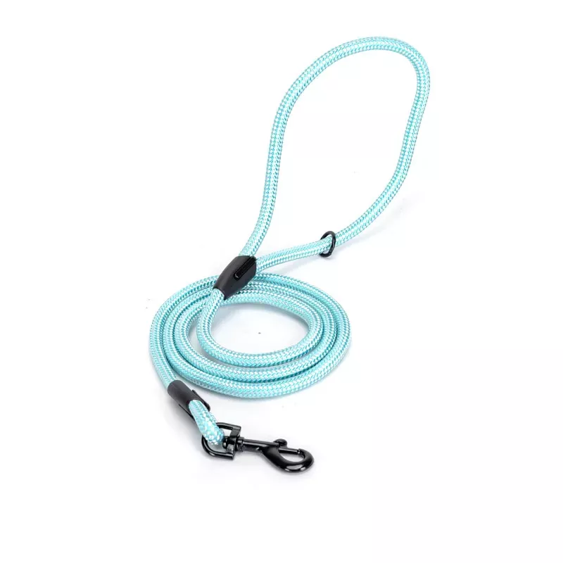 dodatni prikaz (slika 13)