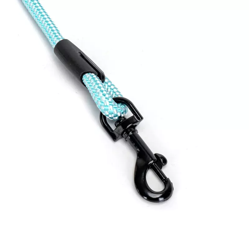 Set povodaca za pse u sivoj, plavoj i zelenoj boji