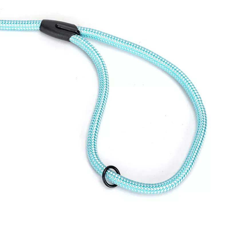 dodatni prikaz (slika 11)