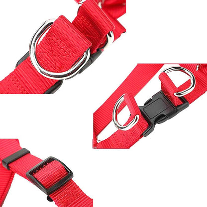 Crveni set am i povodac za pse M veličine, izdržljiv najlon