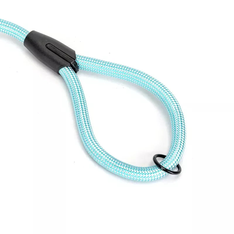 Povodac za pse, detalj metalnog karabinera i spojnice